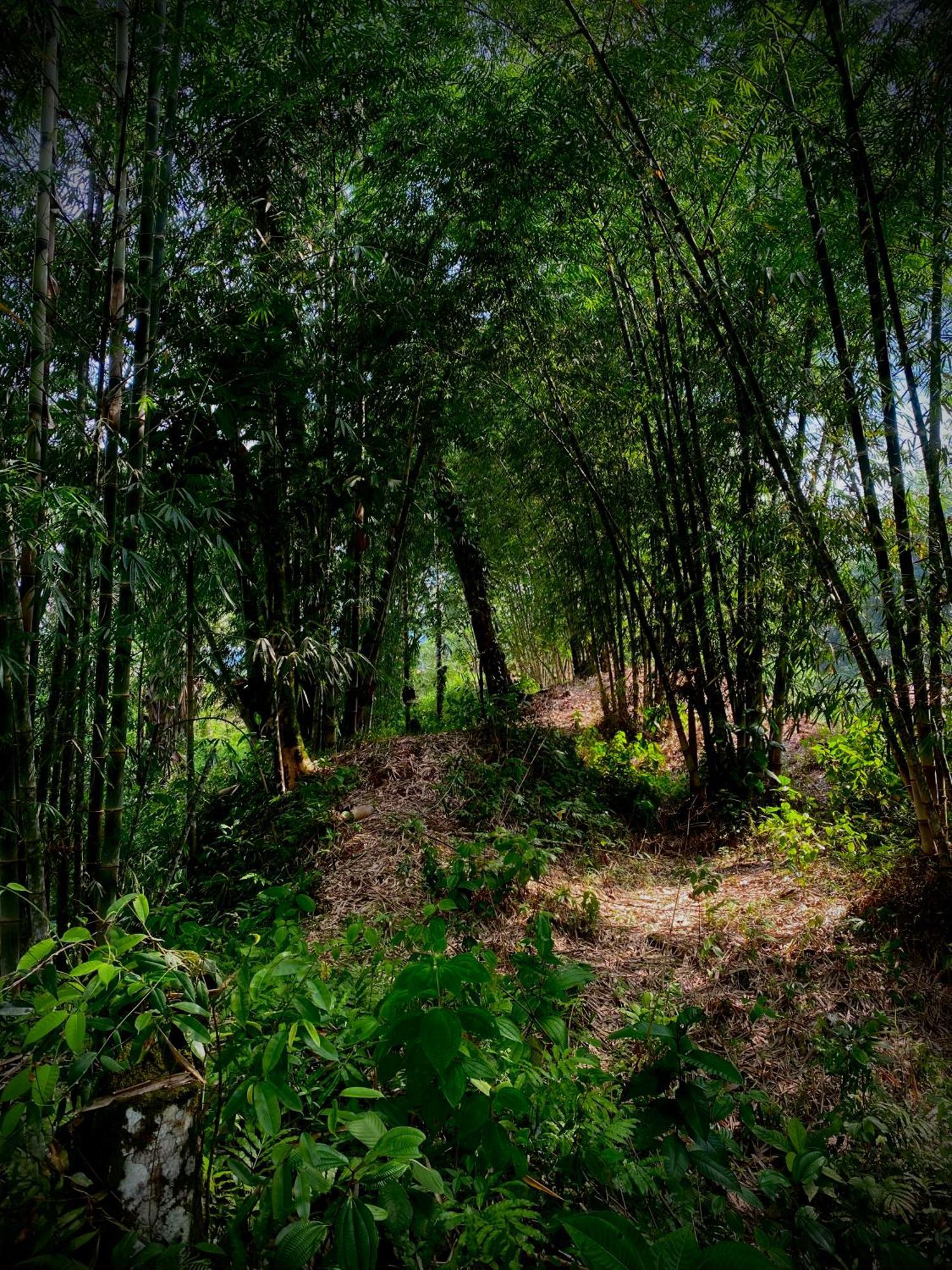 Casa En Santuario Natural En La Amazonia Villa Veracruz  Luaran gambar