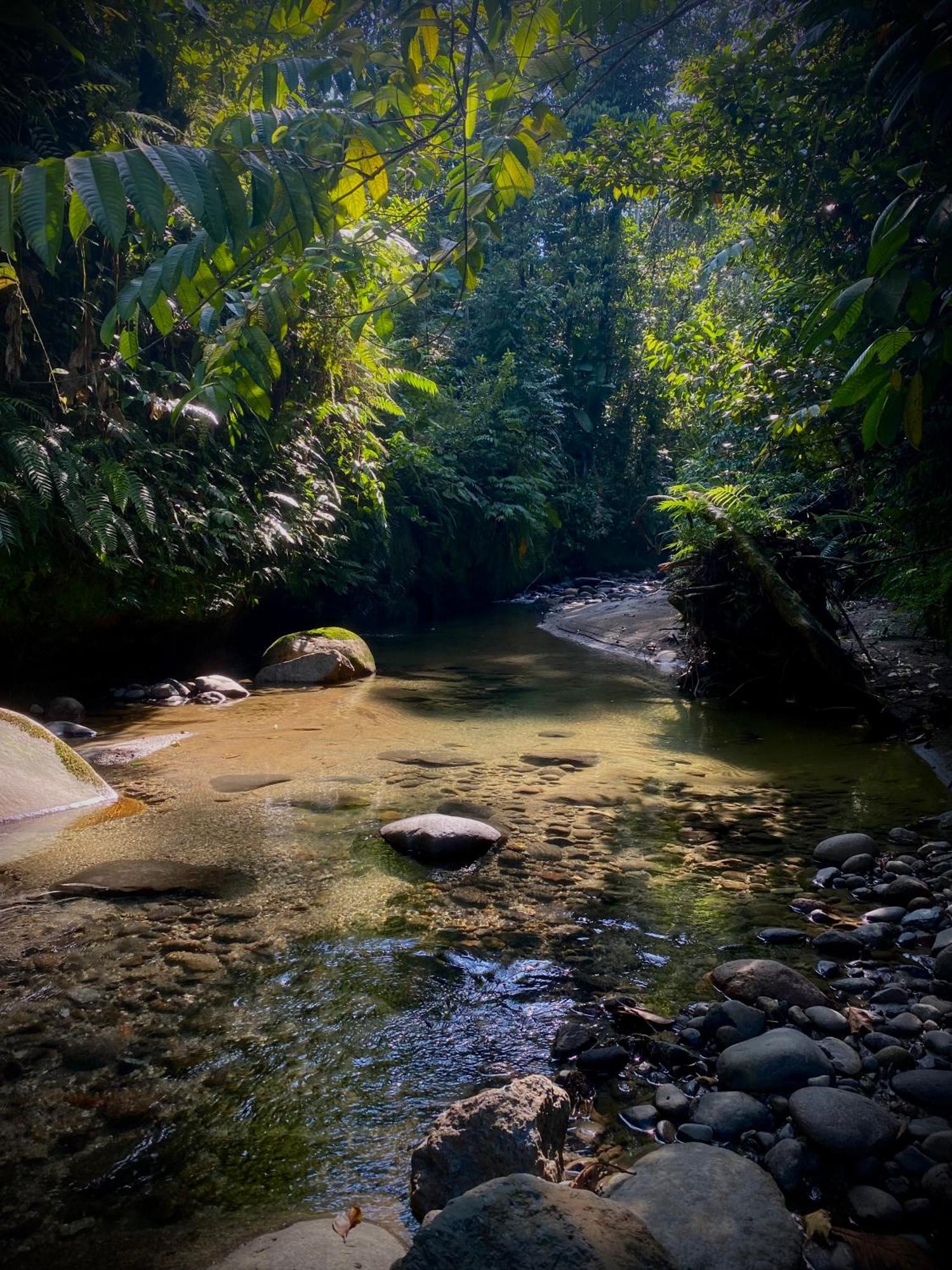 Casa En Santuario Natural En La Amazonia Villa Veracruz  Luaran gambar