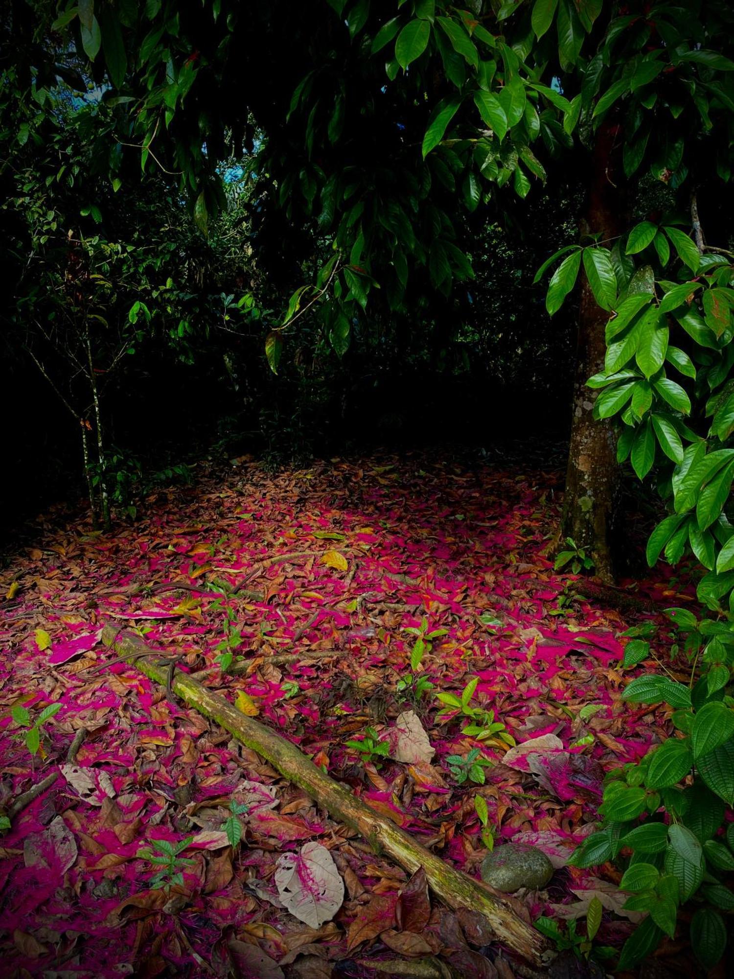 Casa En Santuario Natural En La Amazonia Villa Veracruz  Luaran gambar